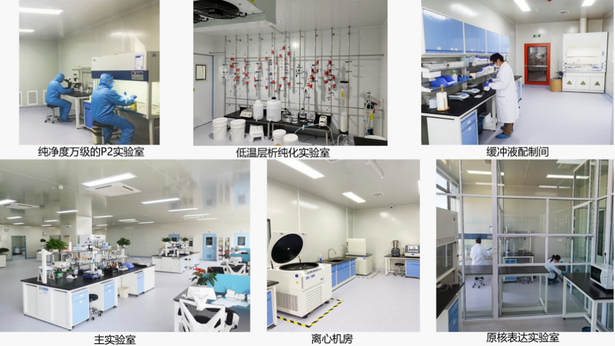 博百欧P2级实验室投入使用