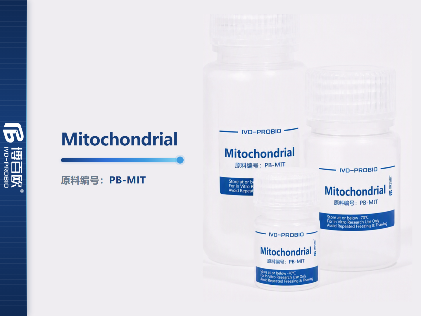 Mitochondrial