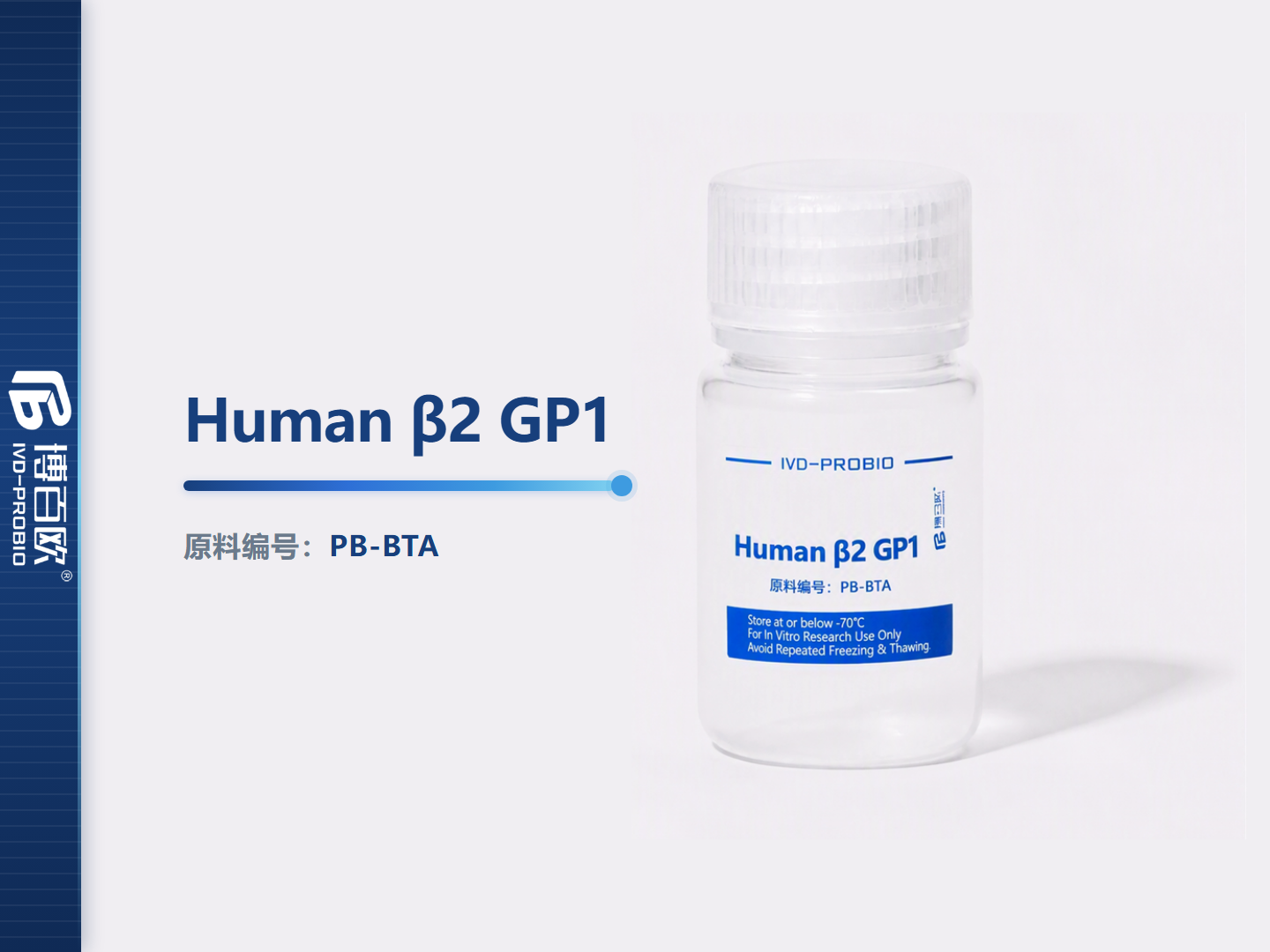 Human β2 GP1