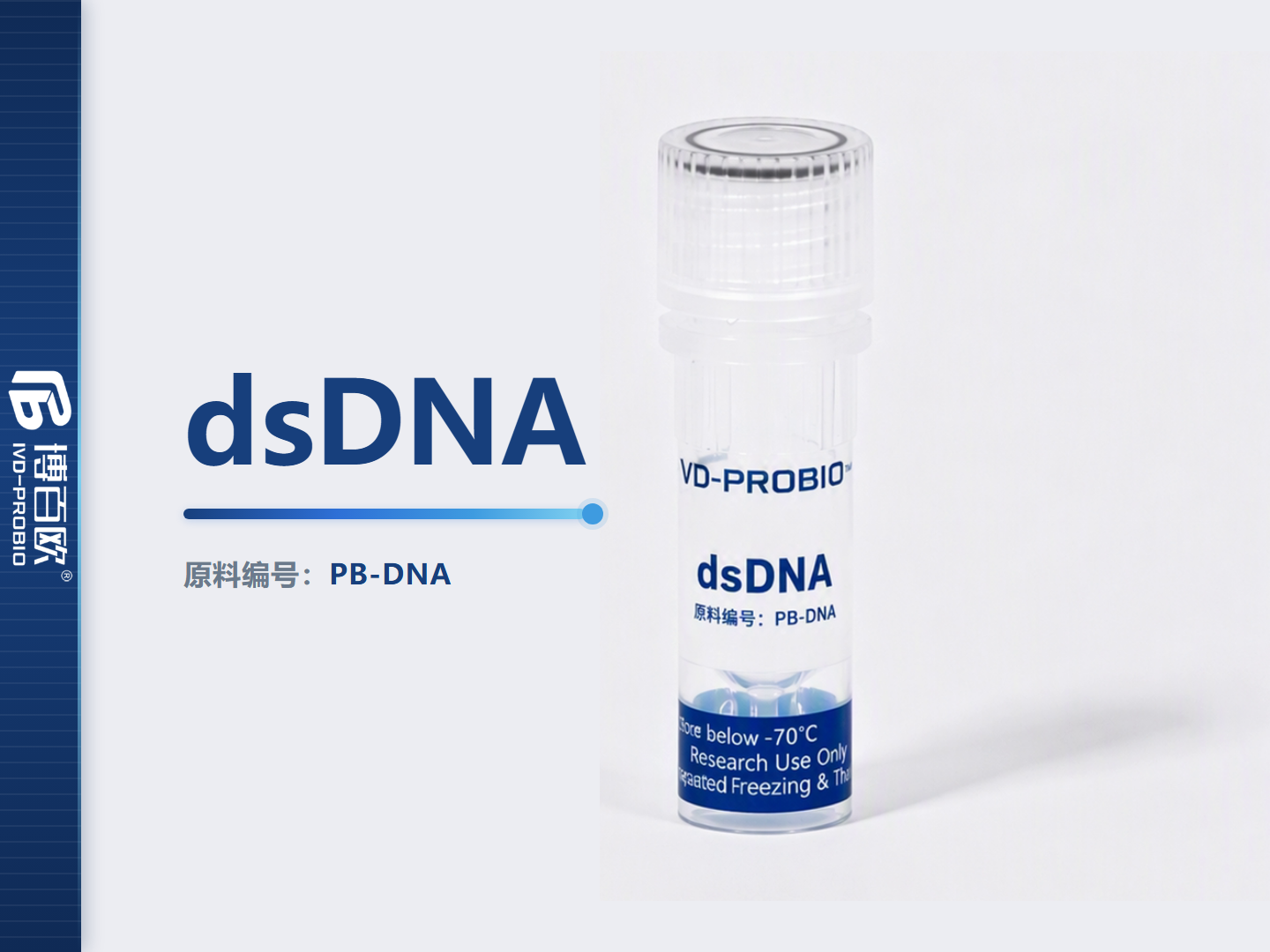 dsDNA