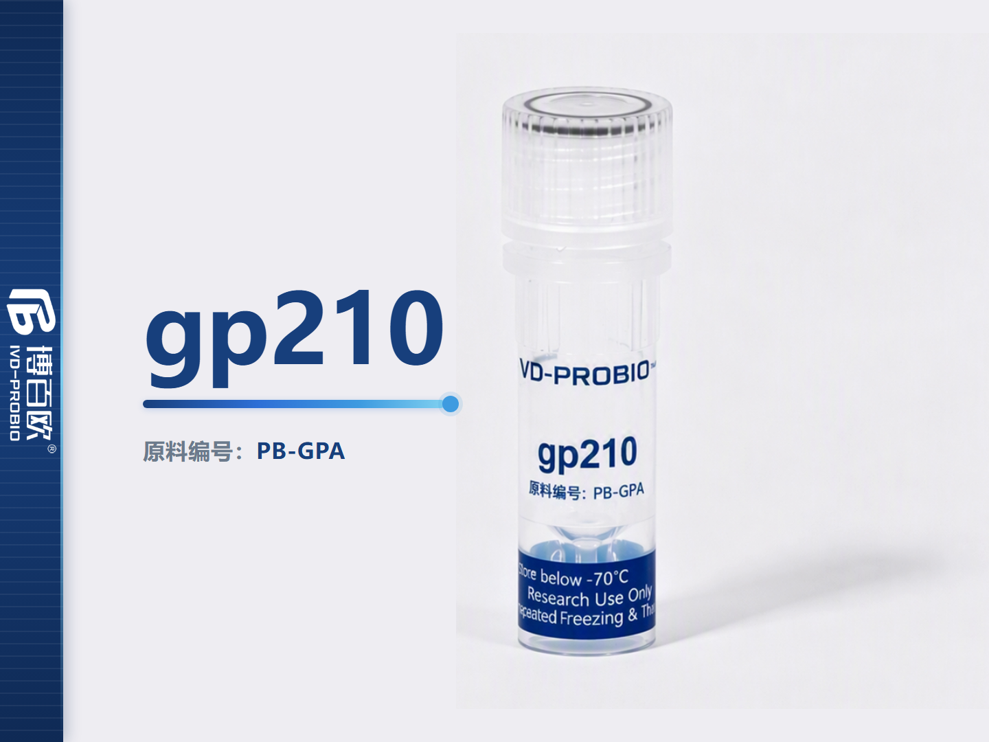 gp210 *
