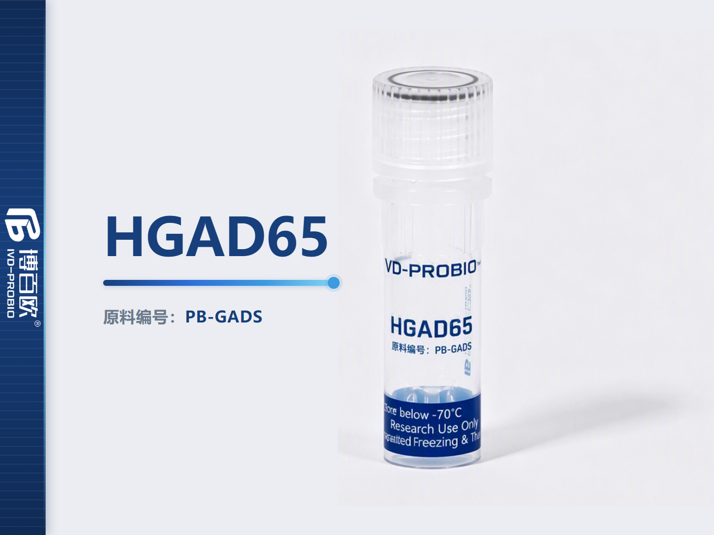 GAD65 *